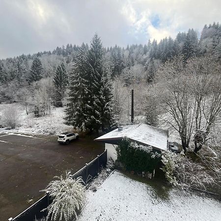 Studio Chalet Cosy Жерарме Экстерьер фото