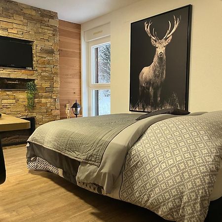 Studio Chalet Cosy Жерарме Экстерьер фото