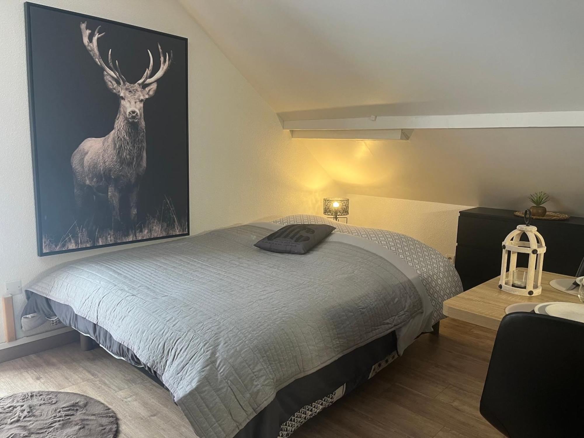 Studio Chalet Cosy Жерарме Экстерьер фото